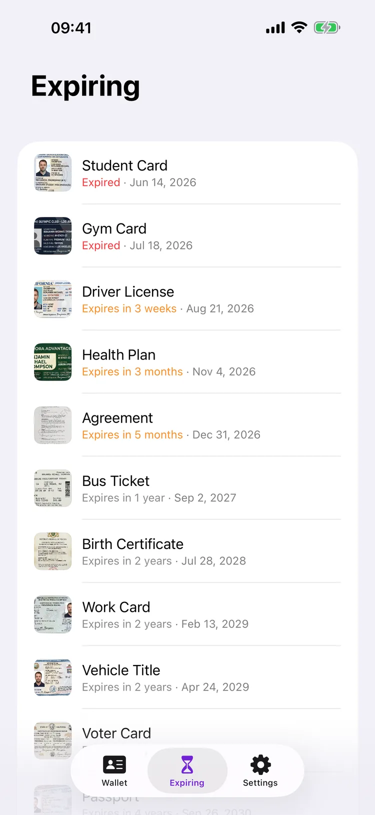 The Dokus Expiring page listing documents by validity date, the expired ones marked in red at the top.