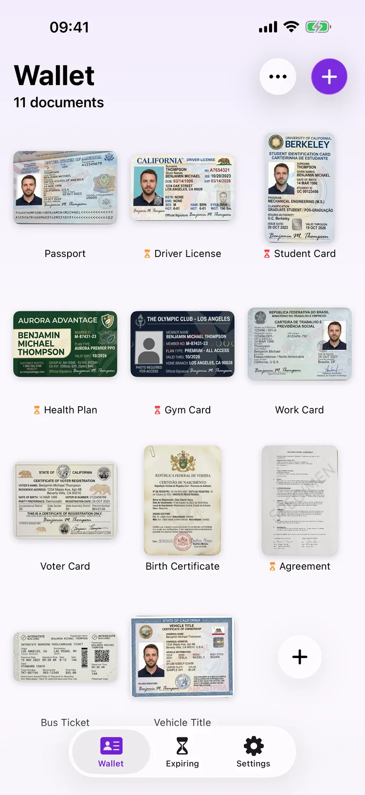 Dokus home screen showing a grid of document tiles, including a passport and a driver's license.